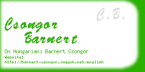 csongor barnert business card